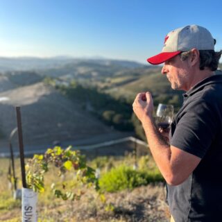 Grape Testing