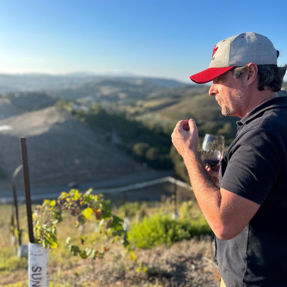 Grape Testing