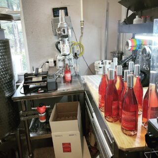 Rosé Anyone? - 2024 Release is here!